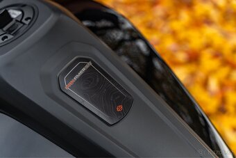 Harley Davidson PAN AMERICA 1250 SPECIAL - 9