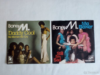 Gramofonové desky LP a singl - 9