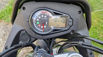 UM DSR ADVENTURE TT 125 ccm - 9