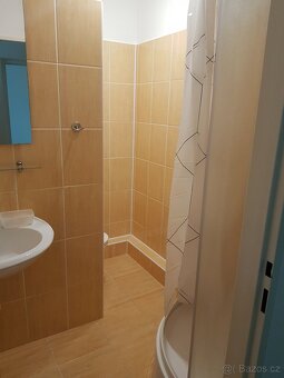 Prodám byt 1+1 ve Veselí nad Moravou - 9