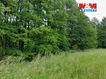 Prodej louky, 19732 m², Oselce - 9