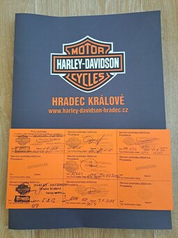 Harley-Davidson Softail Deluxe - 9
