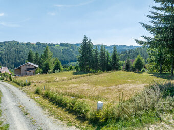 Prodej, pozemek k rekreaci, 829 m2, Zábřeh - Dolní Bušínov - 9