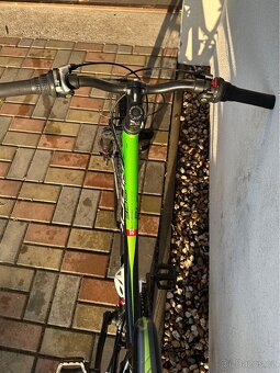 Rock Machine Surge 24” - 9