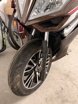 Kentoya Maximus r.v. 2024 - 9