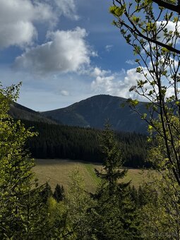 Apartmán Pec pod Sněžkou - 9