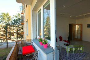 Pěkný a prostorný byt 3+1, Olomouc - Nová Ulice - 9