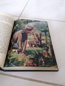 Augusta Josef - Divy prasvěta - 9