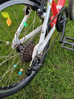 Amulet Tomcat 20 - 9