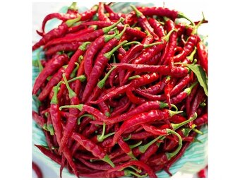 Semínka semena chilli i sladká paprika různé odrůdy - 9