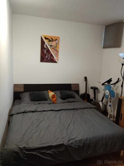 RD Říčany u Brna se třemi byty - 9