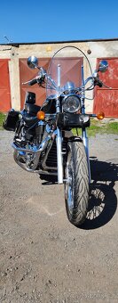 Suzuki VS800 GL - 9