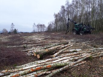 Valtra C100 + hydraulická ruka, kácecí hlavice, vyvážečkou - 9