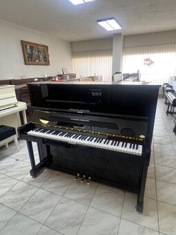 W.Hoffmann-C.Bechstein se zárukou 5 let, doprava. REZERVACE - 9