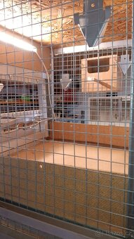 Prodám sestavu klecí pro drobné ptactvo z regálu - 9