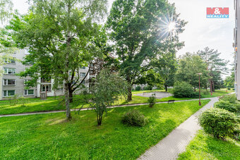 Pronájem bytu 2+1, 51 m², Žďár nad Sázavou, ul. Haškova - 9