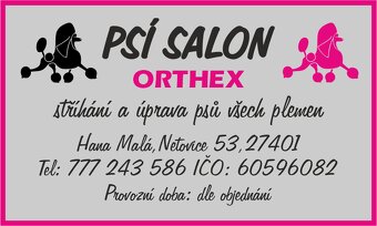 Psí salon Slaný-Netovice - 9
