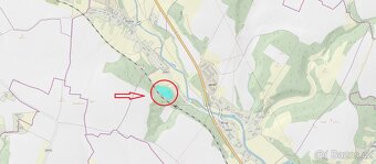 Prodám lesní pozemky v k.ú. Brod nad Labem - 9