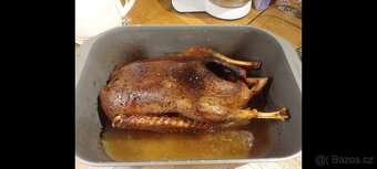 Kuřata kuřecí maso brojler - 9