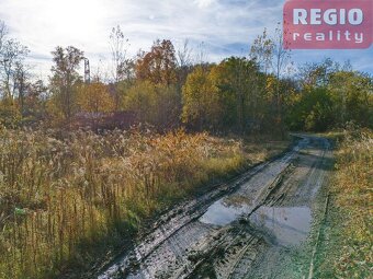 Prodej pozemku 6603 m2, Hrušov - 9