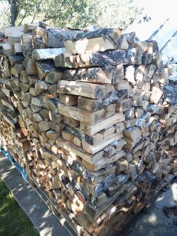 Dřevo na území - 9