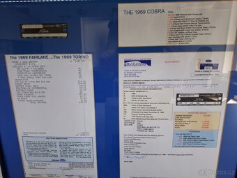 Ford Cobra 1969 - 9