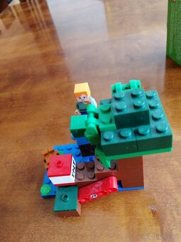 Lego Minecraft - 9