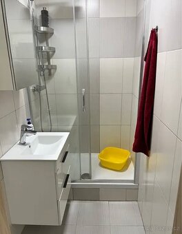 Pronájem - 2kk 48m2 - 9