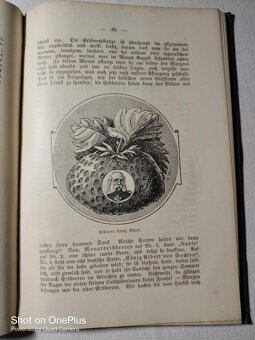 Zahrada mládeže z roku 1902-Marie Teuscher - psáno Šwabachem - 9