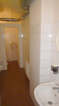 Pronájem restaurace České Budějovice, Na Mlýnské stoce - 9