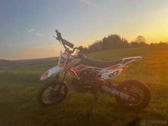 Pitbike 110 - 9