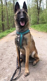 ANGEL K ADOPCI - HLEDÁ SVÉHO ANDĚLA - 9