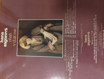 Gramofonové desky - Karel Gott a Hana Zagorová - 9