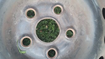 4x disky 6Jx16 ET53 a letní pneu 195/60 R16c
Nabízím - 9