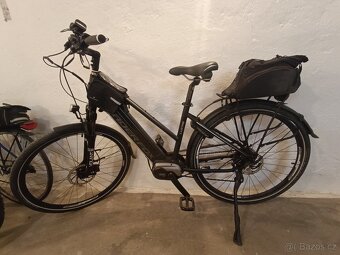 Leader Fox-Lucas Lady - 9