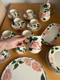 servis Villeroy & Boch Wild Rose - 9