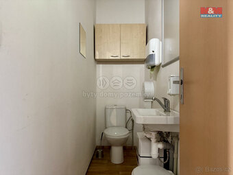 Pronájem kancelářského prostoru, 120 m², Blatná - 9