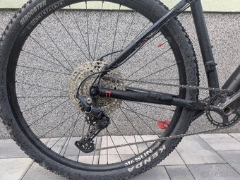 Rose Count solo 3 - 9