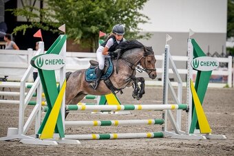 Charakterní první pony kat. S - 9