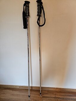 Lyže Elan WaveFlex Race 168 cm - 9