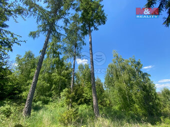 Prodej lesa, 15167 m², Kropáčova Vrutice - 9