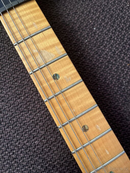 Paul Reed Smith CE, Swamp Ash Special USA, postavený v roce - 9