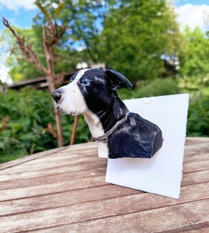 3D fotografie a figurky domácích mazlíčků - 9