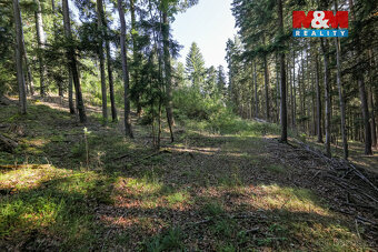 Prodej lesa, 15707 m², Petrovice u Sušice - 9