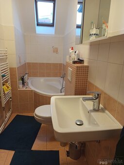 Pronájem bytu Praha Podolí - 9