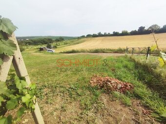 Vinice v Kobylí s možností vybudovat sklípek s komerčním vyu - 9