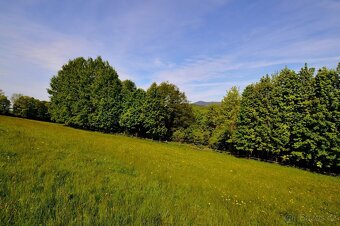 Prodej pozemku, 45 289 m2, Horní Lánov, ev.č. 00475 - 9