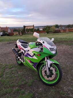 Kawasaki ZXR 400 A2 - 9