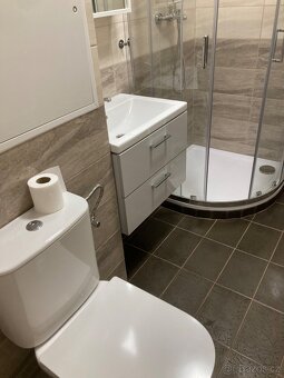 Pronájem bytu 2+1, 60m2 ve Veselí nad Lužnicí - 9
