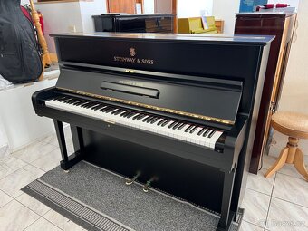 Steinway &Sons se zárukou 2 roky, doprava zdarma. - 9